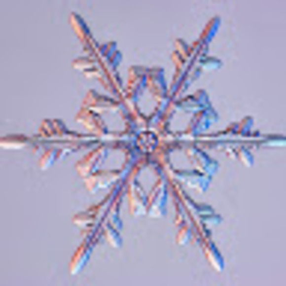 Meet your Posher, Chelsea - Picture 1 of 1